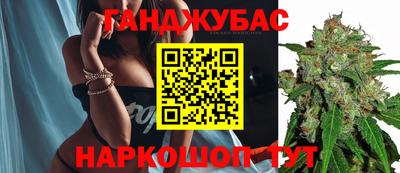 ECSTASY Новозыбков