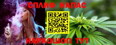 ECSTASY Новозыбков