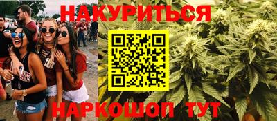 стафф Новокубанск