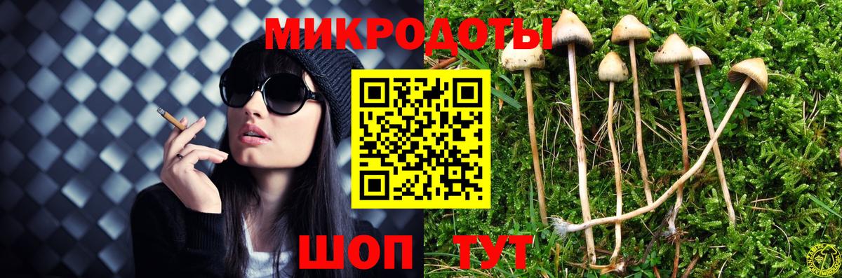 Галлюциногенные грибы мицелий Отрадный