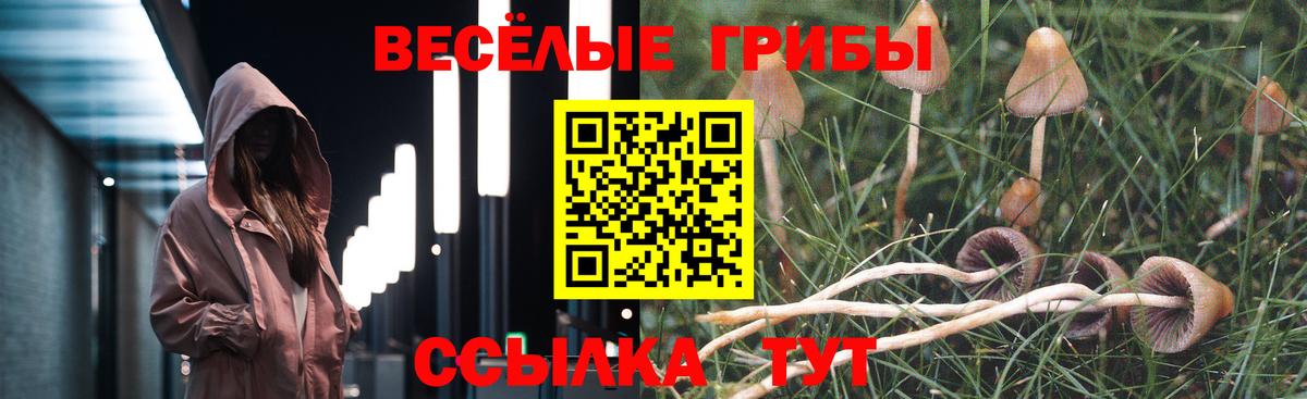 наркота  Вход с VPN  Отрадный  Галлюциногенные грибы Psilocybe 